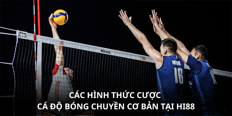 Cá Độ Bóng Chuyền Hi88 - Thiên Đường Cược Hấp Dẫn Bậc Nhất