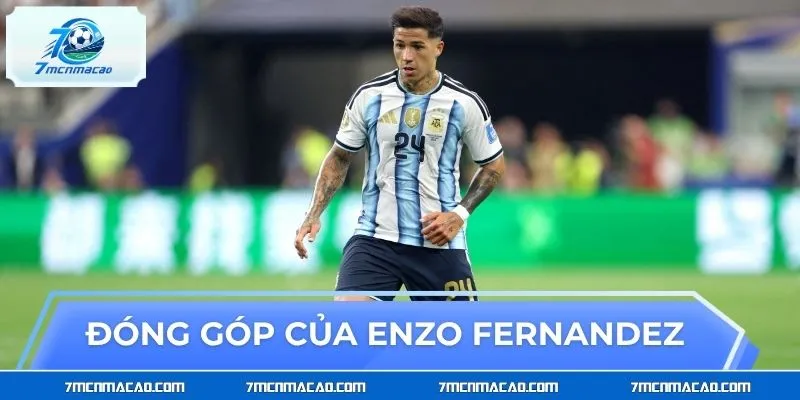 Những đóng góp của Enzo Fernandez cho bóng đá nước nhà