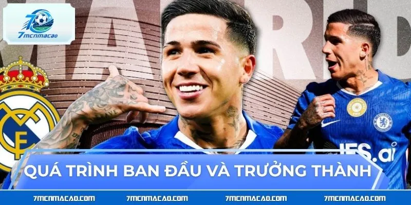 Quá trình ban đầu và trưởng thành của Enzo Fernandez