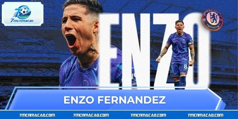 Enzo Fernandez – Tiền Vệ Đa Năng Của Bóng Đá Argentina