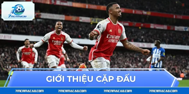 Giới thiệu cặp đấu Brighton & Hove Albion vs Arsenal