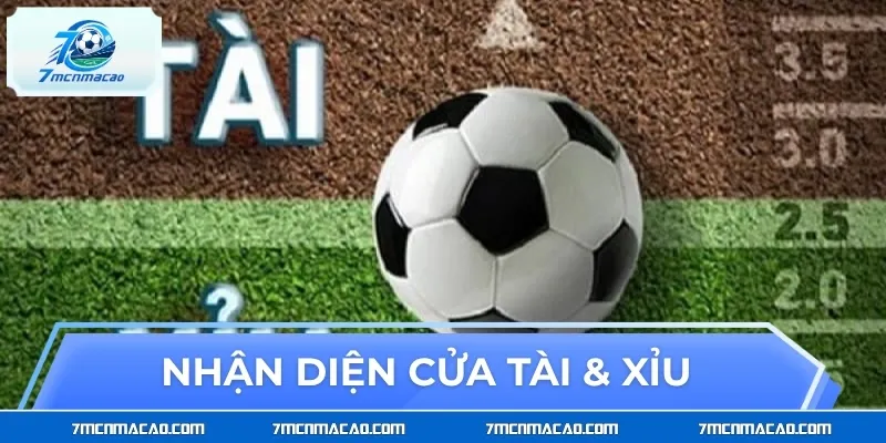 Hướng dẫn bet thủ nhận diện cửa Tài & Xỉu