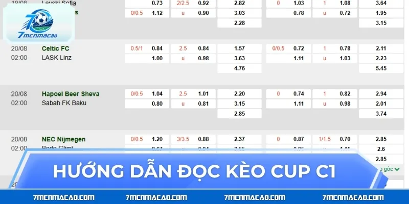 Hướng dẫn đọc kèo Cup C1 chuẩn xác