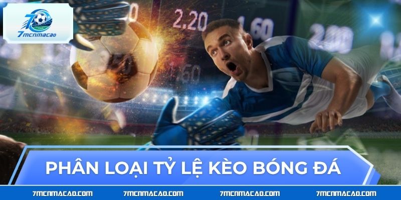 Phân loại tỷ lệ kèo bóng đá thường gặp khi phân tích trận đấu