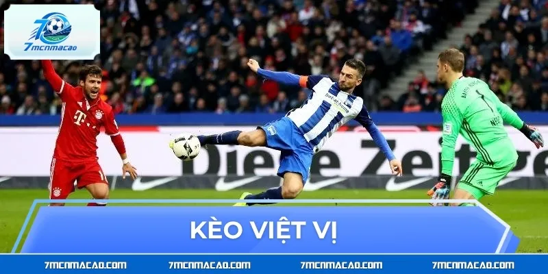 Kèo Việt Vị – Giải Mã Tỷ Lệ Vàng, Bắt Sóng Trận Cầu