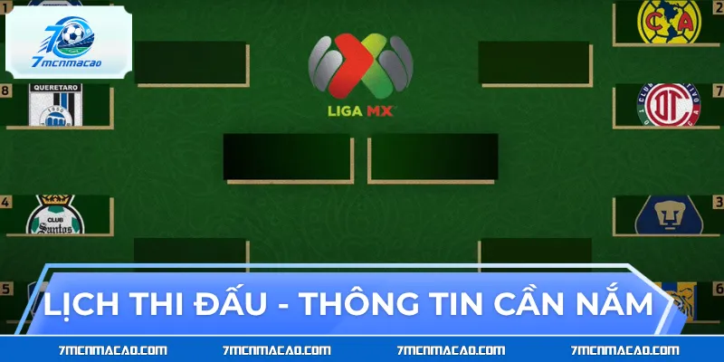 Lịch thi đấu là thông tin quan trọng cần nắm