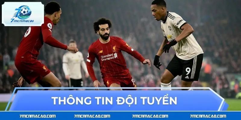Thông tin về đội tuyển Manchester United - Liverpool