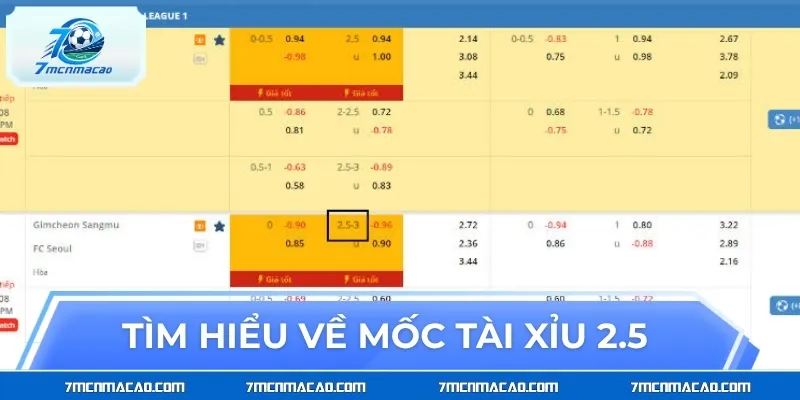 Tìm hiểu về mốc Tài Xỉu 2.5